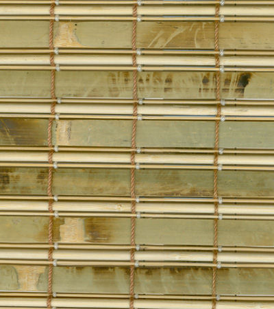swatch of New Guinea Camel