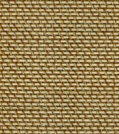 swatch of Lincoln Park