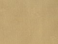 Dupion Silk Bijapur