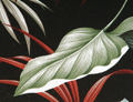 Haiku Black