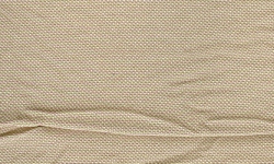 Andorra Mink